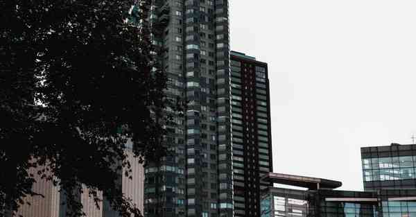 佛 跳墙